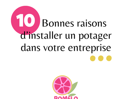 10 bonnes raisons d'installer un potager d'entreprise