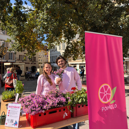 Atelier bouturage de Pomelo place de la réunion