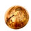 Thumbnail: Cherry Salad Bowl