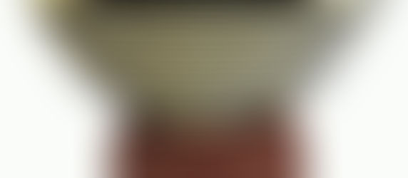 Optical Illusion Bowl