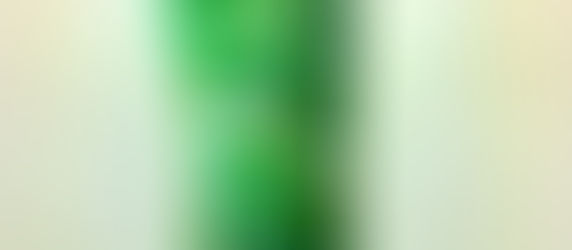 Fern and Ginkgo Vase