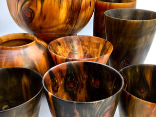 Norfolk Island Pine Vases