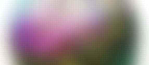 Planet Earth Wood Sphere