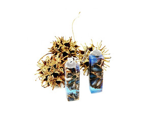 Gum Tree Seed Pod Earrings