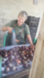 Ramona washing beets