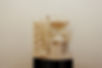 DSC06255re.jpg
