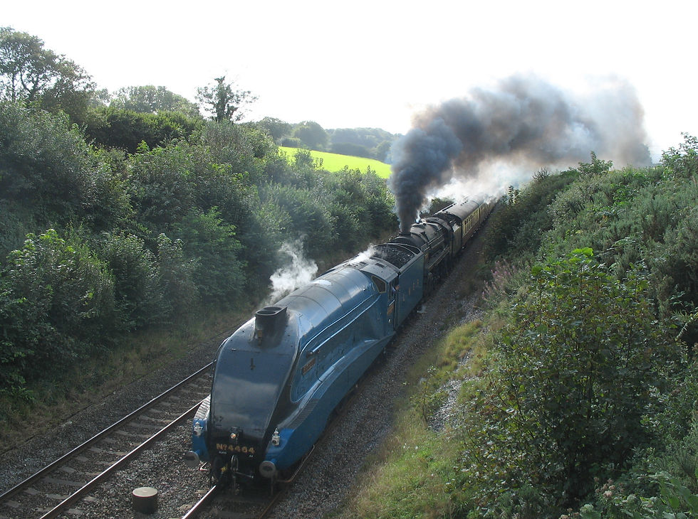 Bittern & Britannia15.09.2012
