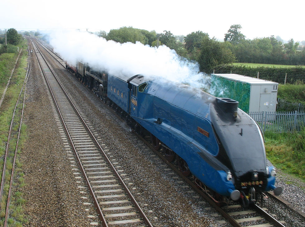 Bittern and Britannia. 15.09.2012