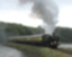 9466, Looe Valley. 19.09.2010