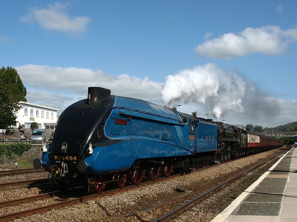 Bittern & Britannia. 15.09.2012