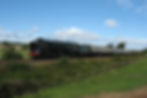 Duke of Gloucester. 04.09.2011