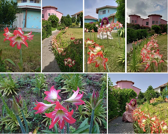 スクリーンショット 2023-07-14 12.08.48.png