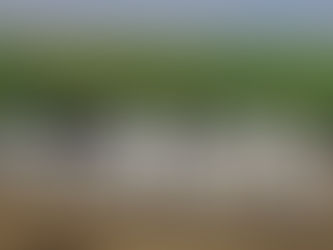 オープン戦、第二試合目