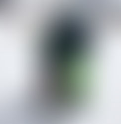 9th to 14th April 2017 / Alpe d'Huez - France