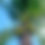 Thumbnail: Coconut Key Lime