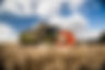 BEDFORDIAFARMSDAY2-_38A7805-72dpi-1000px.jpg