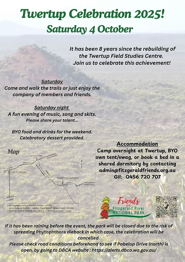 Twertup Celebration_Saturday(2).jpg