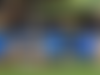 Carlton vs Richmond: Honors Even in Round One Classic