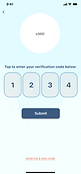 Enter New Code 2.png