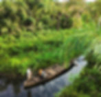 Rowing a pirogue through La Riviere Noire, in Benin. A beautiful tourist site in Benin close to the Nigerian border with Benin