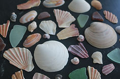 IMG_5799.JPG
