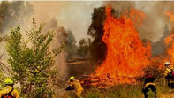 Août 2021 – Feu de Forêts en Grèce