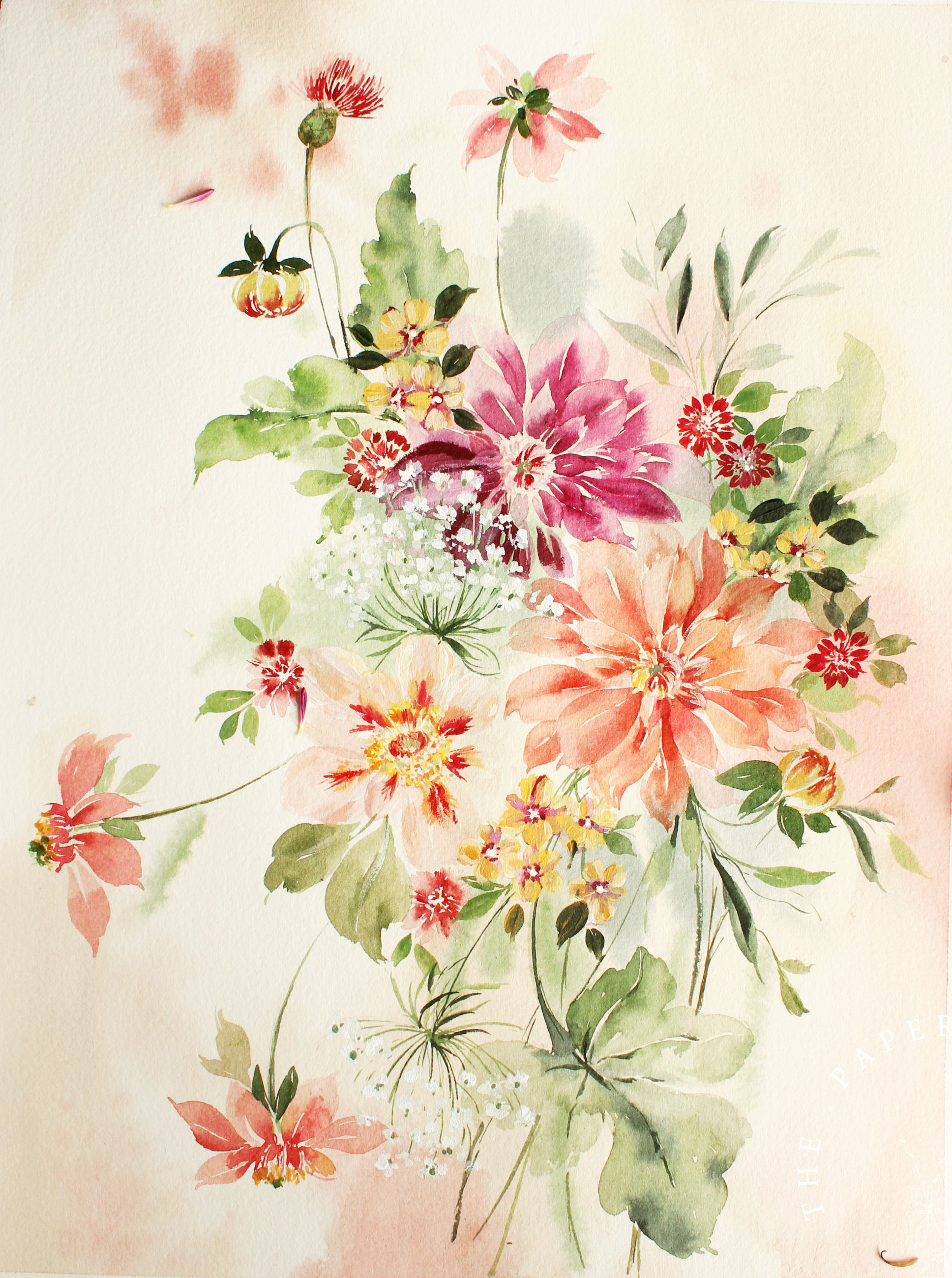 ' Dancing Dahlias '
