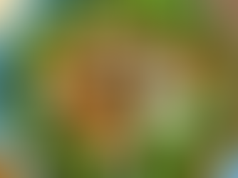 Gepofte zoete aardappel met broccoli