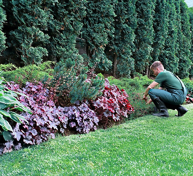 Gardener _edited.jpg