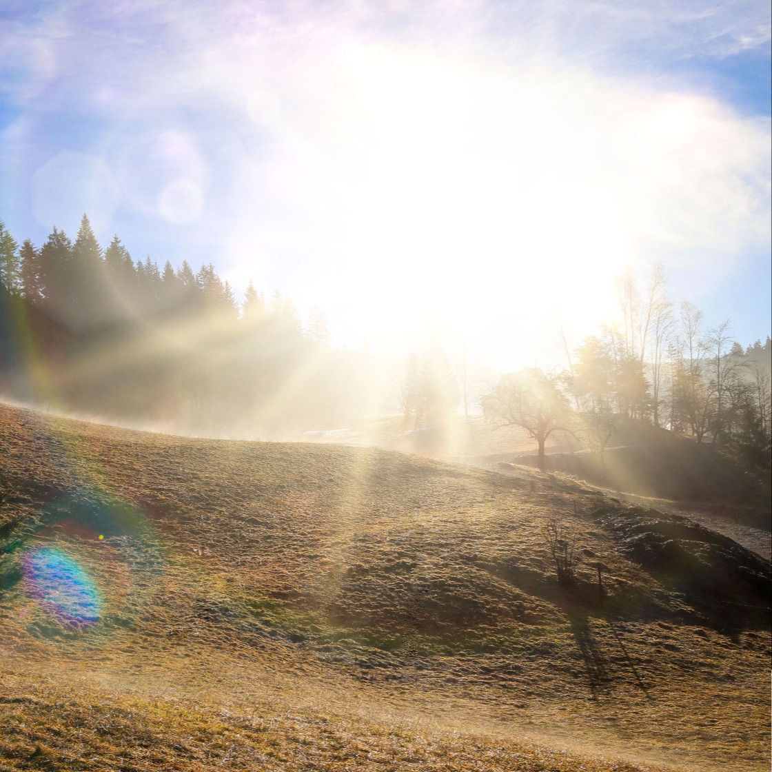 Meditace - SVĚTLO UZDRAVENÍ PRO ORGÁNY A TĚLO