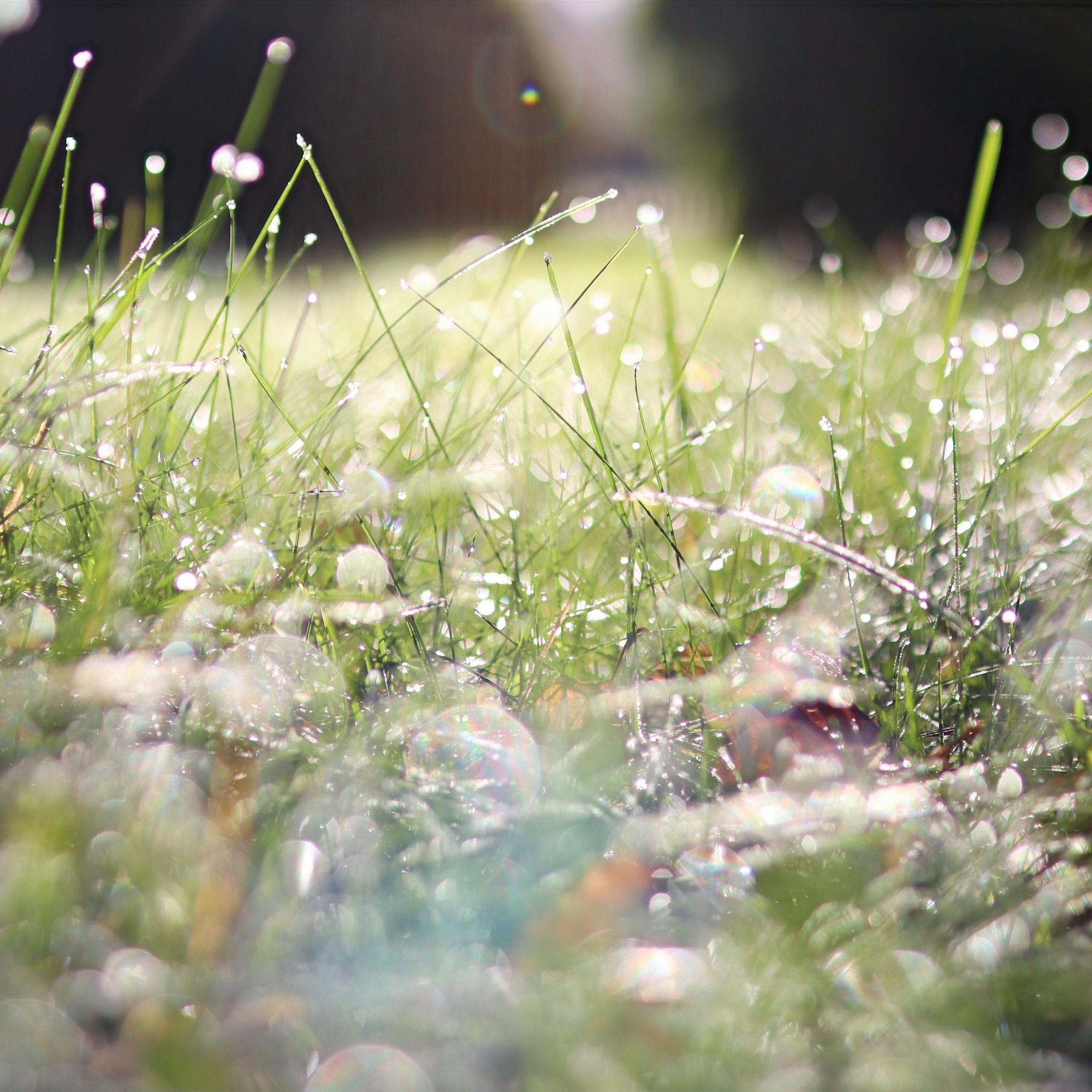 Meditace - JE TO TAK JEDNODUCHÉ, JE TO TAK SNADNÉ