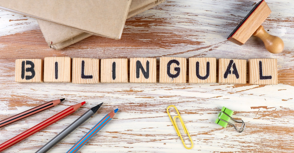cubos de madeira com letras em sequência formando a palavra bilingual