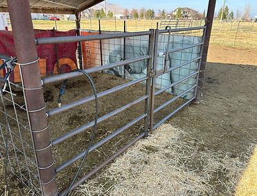 Welded gate in Utah County