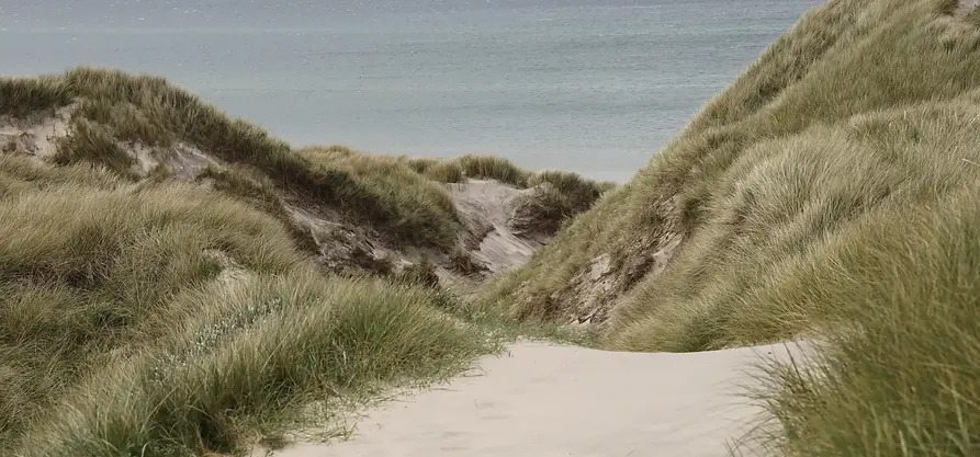 landes constructeur maison.webp