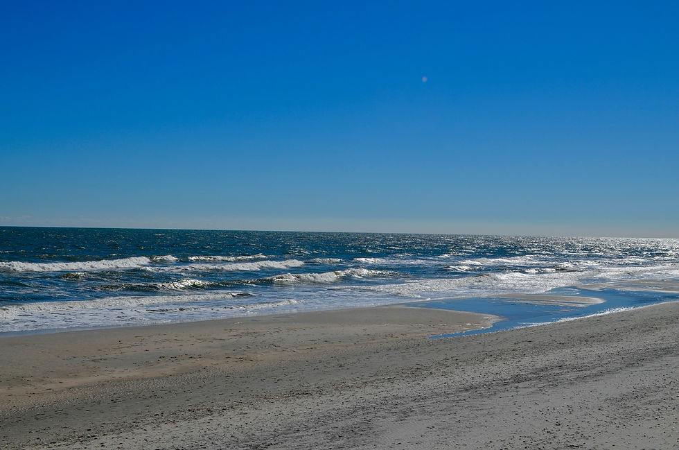 DSC_0195.jpeg