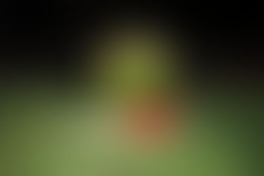 Roots and Ruins: Artist Han Bing on Nature, Memory, and Freedom