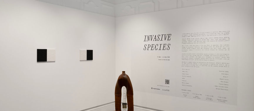 Invasive Species: The Things We Learn to Live Alongside