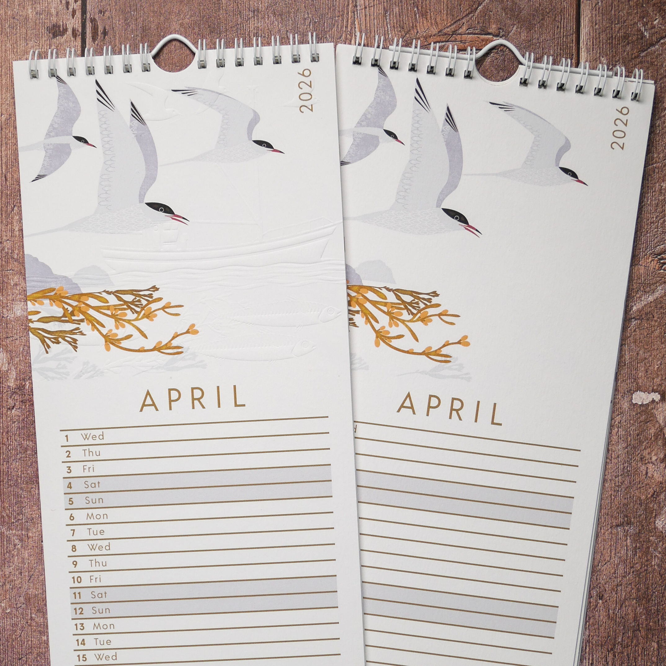 2026 Bird Wall Calendar