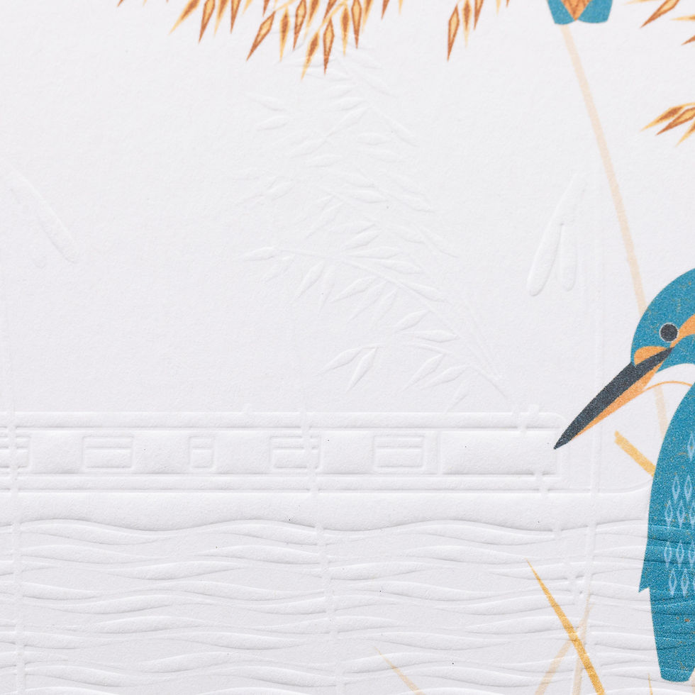 Thumbnail: Two Kingfishers Greeting Card