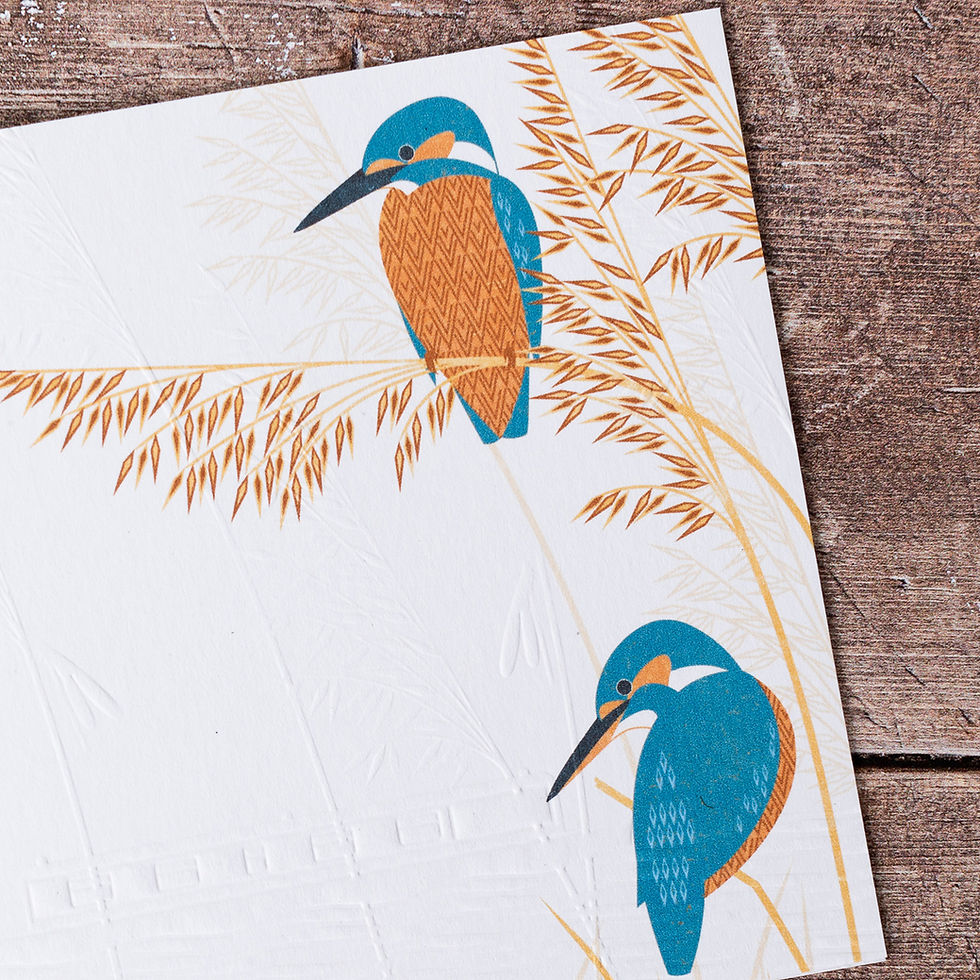 Thumbnail: Two Kingfishers Greeting Card
