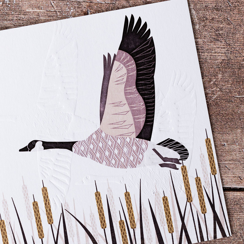 Thumbnail: Canada Goose Greeting Card