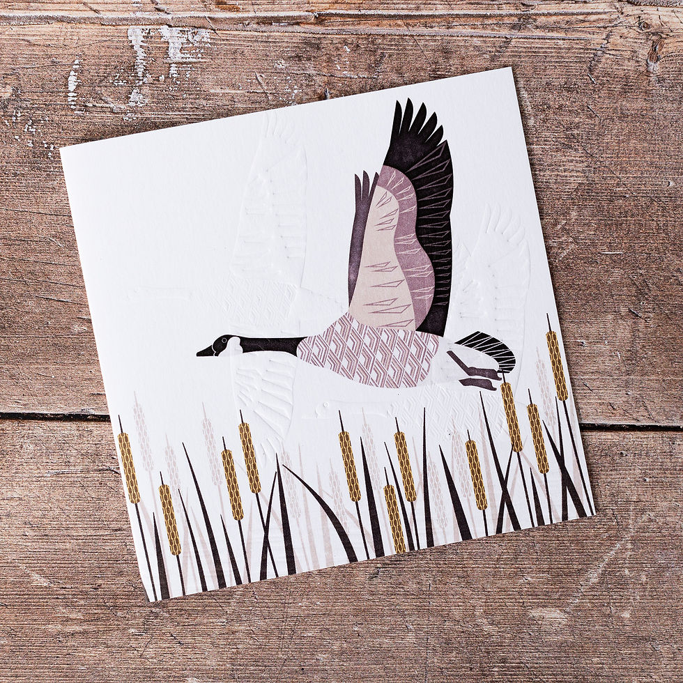 Thumbnail: Canada Goose Greeting Card