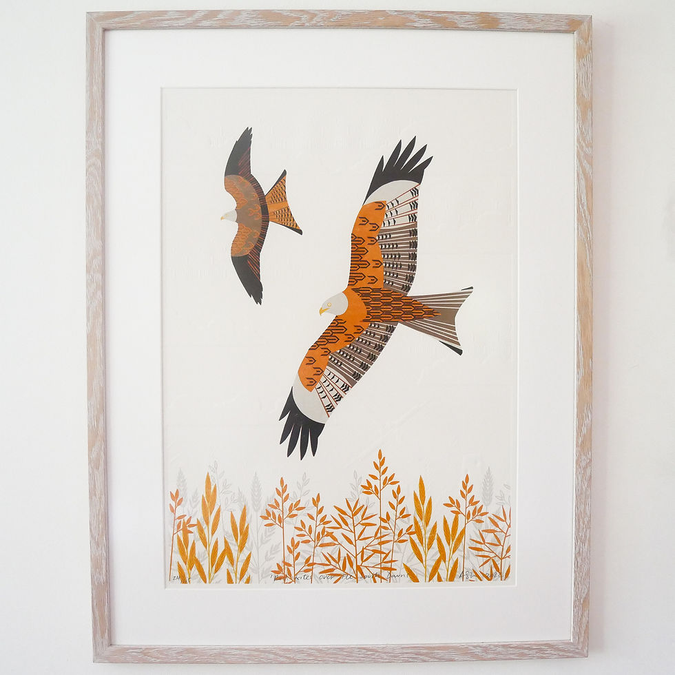 Thumbnail: Red Kites over the South Downs