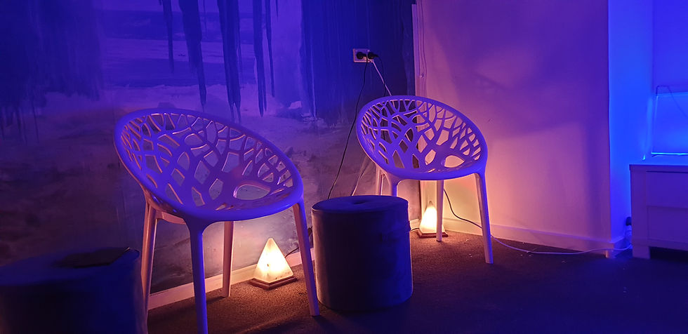 S.A.L.T. Therapy Room