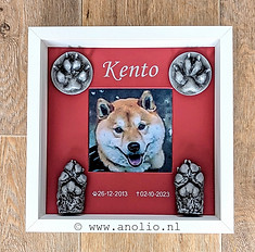pootjes kento