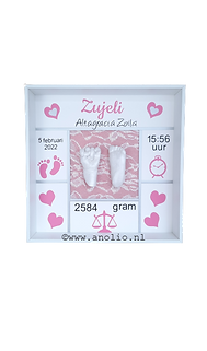 Zujeli