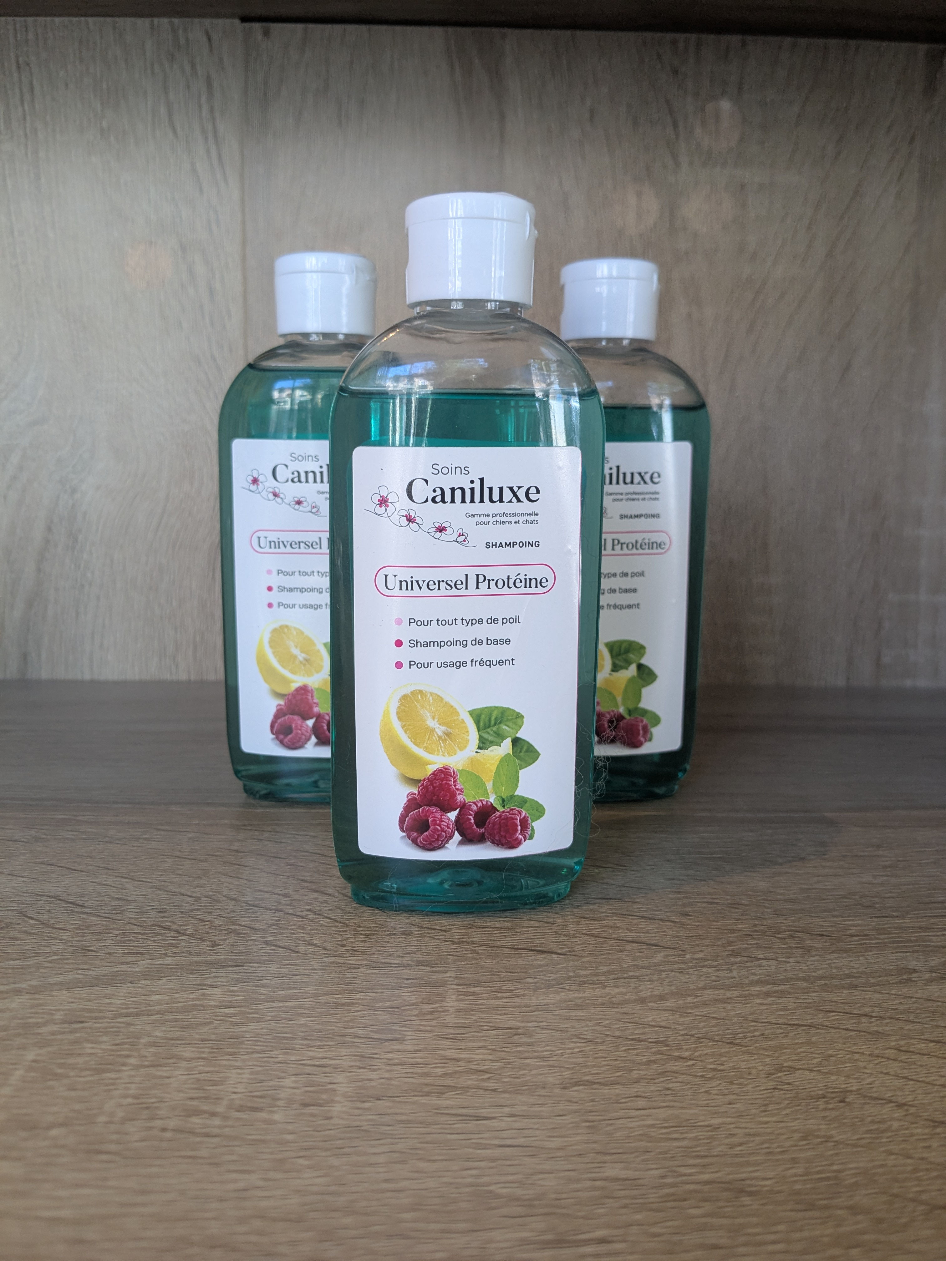 Shampooing - Universel Protéine