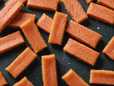 Optimize Your Dog's Health with Premium Lean Meats and Essential Proteins: A Guide to Wild Salmon, Beef Heart, and Chicken Breast Treats