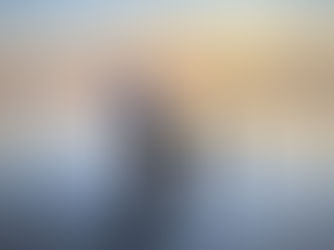 Lee Asher on How Rescuing Dogs Rescues Us