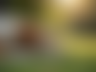 Unlock Calm and Wellness for You and Your Pets with Our Vet Approved CBD Starter Pack